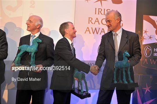 Irish Horse Racing Awards for 2009