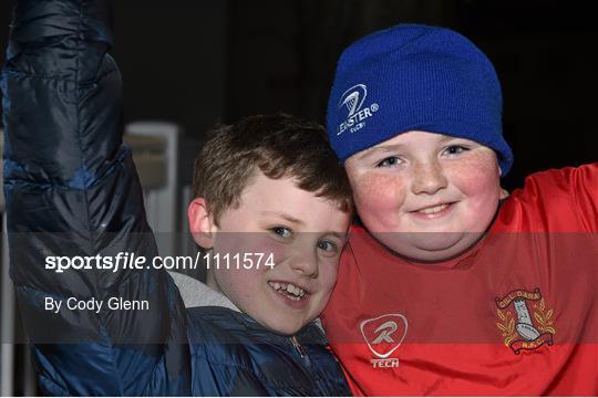 Leinster fans at Leinster v Zebre - Guinness PRO12 Round 14