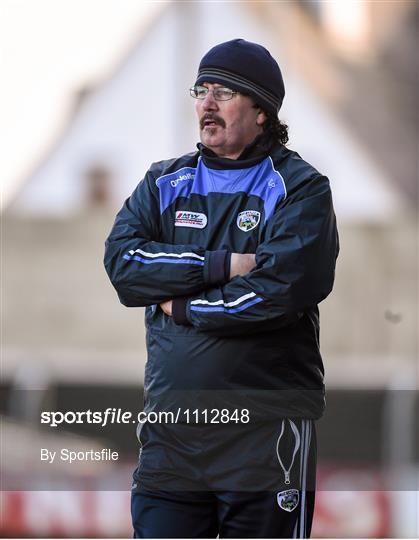 Laois v Kerry - Allianz Hurling League Division 1B Round 1