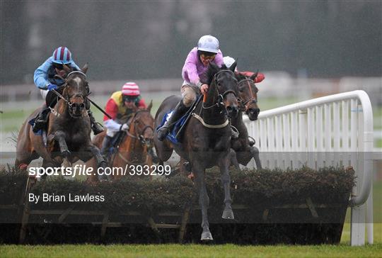 Leopardstown Christmas Racing Festival 2009 - Tuesday