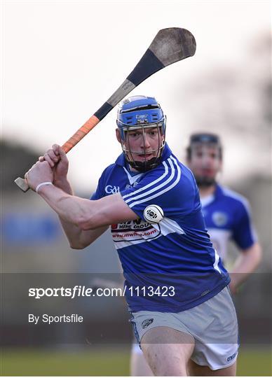 Laois v Kerry - Allianz Hurling League Division 1B Round 1 Laois v Kerry - Allianz Hurling League Division 1B Round 1