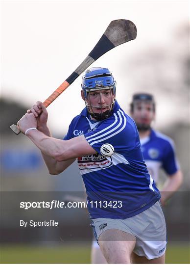 Laois v Kerry - Allianz Hurling League Division 1B Round 1