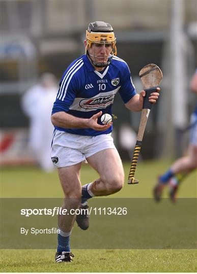 Laois v Kerry - Allianz Hurling League Division 1B Round 1 Laois v Kerry - Allianz Hurling League Division 1B Round 1