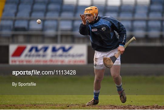 Laois v Kerry - Allianz Hurling League Division 1B Round 1