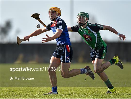 Limerick Institute of Technology v Waterford Institute of Technology - Independent.ie HE GAA Fitzgibbon Cup Quarter-Final