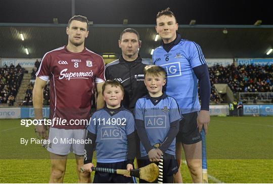 Mascots at the Dublin v Galway match - Allianz Hurling League Division 1A Round 2