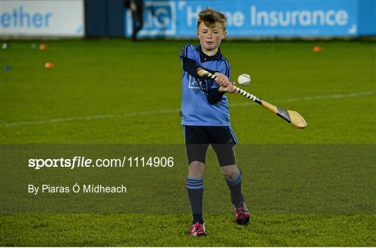 Mascots at the Dublin v Galway match - Allianz Hurling League Division 1A Round 2