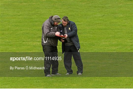 Wexford v Clare - Allianz Hurling League Division 1B Round 2