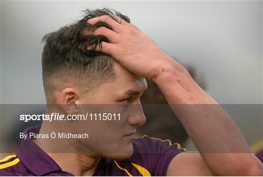 Wexford v Clare - Allianz Hurling League Division 1B Round 2