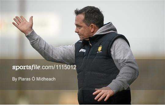 Wexford v Clare - Allianz Hurling League Division 1B Round 2 Wexford v Clare - Allianz Hurling League Division 1B Round 2