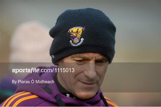 Wexford v Clare - Allianz Hurling League Division 1B Round 2