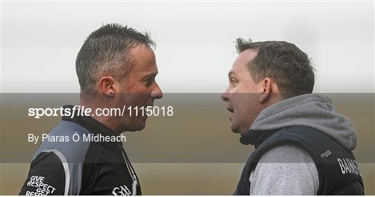 Wexford v Clare - Allianz Hurling League Division 1B Round 2