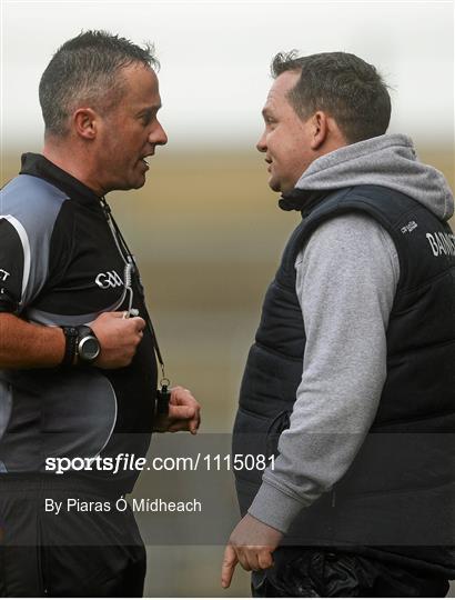 Wexford v Clare - Allianz Hurling League Division 1B Round 2