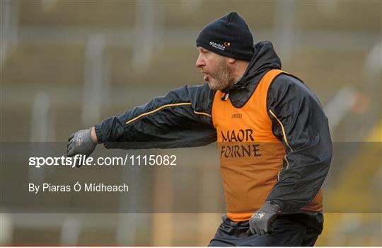 Wexford v Clare - Allianz Hurling League Division 1B Round 2