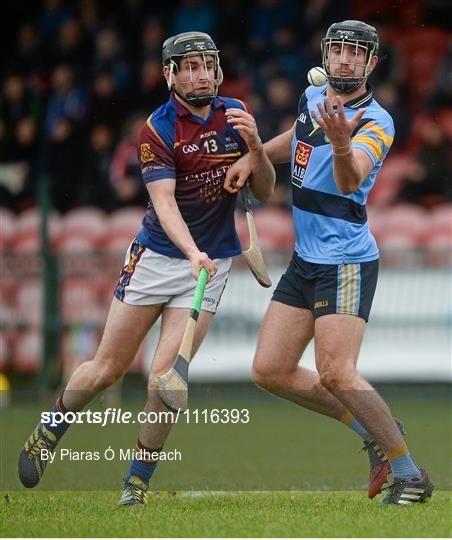 University of Limerick v University College Dublin - Independent.ie Fitzgibbon Cup Semi-Final