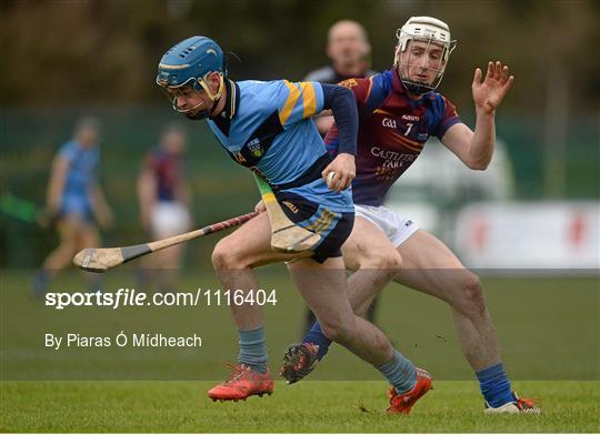 University of Limerick v University College Dublin - Independent.ie Fitzgibbon Cup Semi-Final