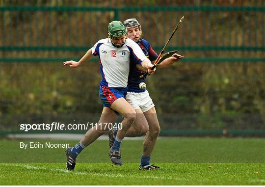 Mary Immaculate College Limerick v University of Limerick - Independent.ie Fitzgibbon Cup Final