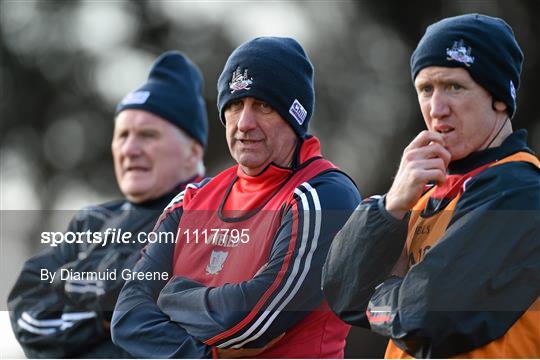 Cork v Roscommon - Allianz Football League Division 1 Round 3