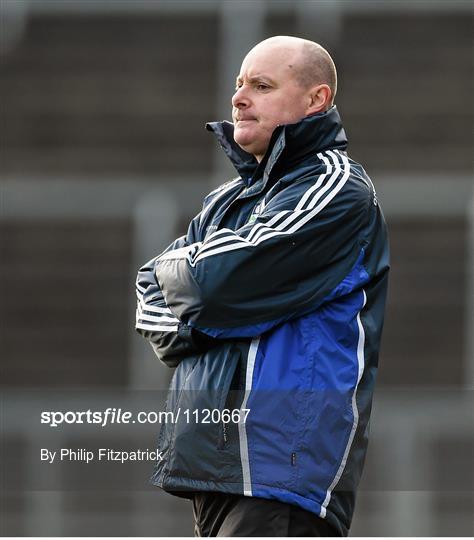 Monaghan v Mayo - Allianz Football League Division 1 Round 4