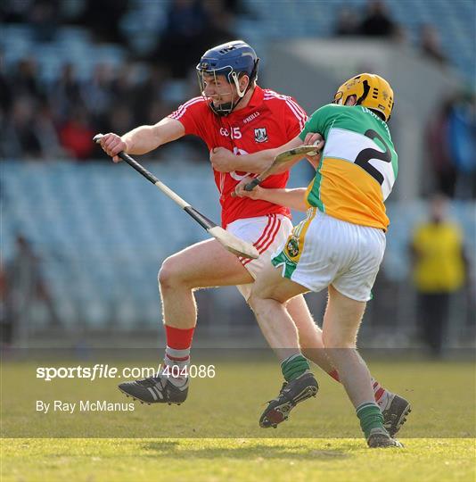Cork v Offaly - Allianz GAA Hurling National League Division 1 Round 1