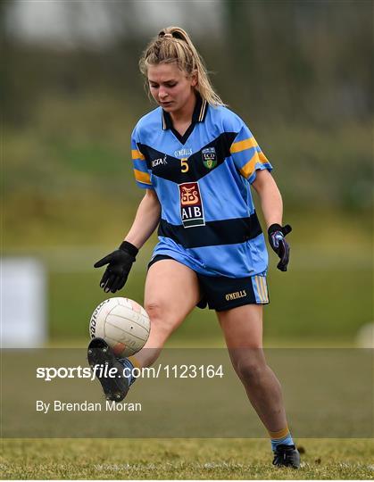 University College Cork v University College Dublin - O'Connor Cup Semi-Final