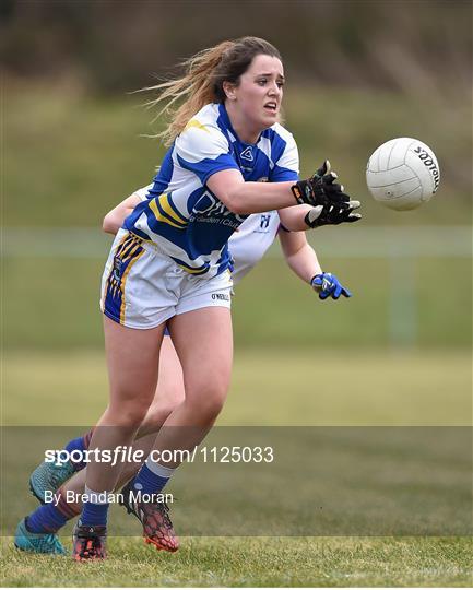 St Patrick's College v Mary Immaculate College Limerick - Giles Cup Final 2016