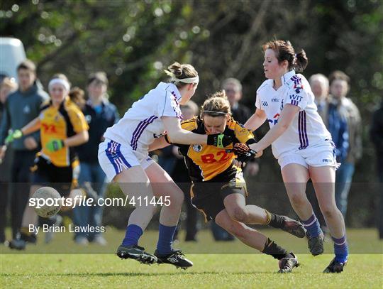NUI Maynooth v Waterford IT - Giles Cup Final