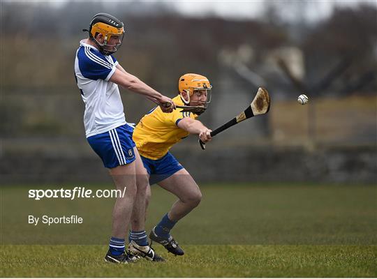 Roscommon v Monaghan - Allianz Hurling League Division 3A Final