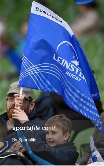 Leinster Fans at Leinster v Munster - Guinness PRO12 Round 19