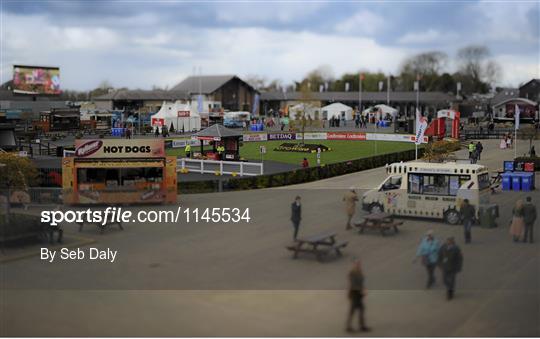 Punchestown Festival - Day 2