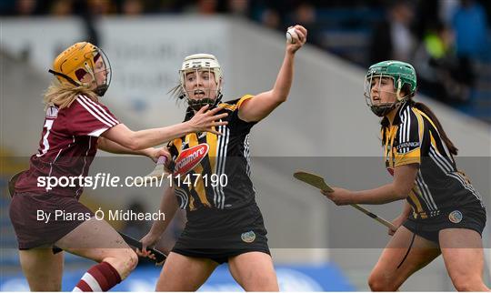 Galway v Kilkenny - Irish Daily Star National Camogie League Division 1 Final