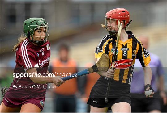 Galway v Kilkenny - Irish Daily Star National Camogie League Division 1 Final
