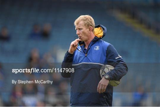 Leinster Rugby Squad Training