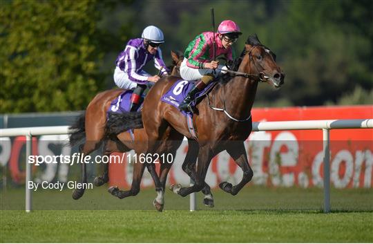British Irish Chamber of Commerce Raceday British Irish Chamber of Commerce Raceday