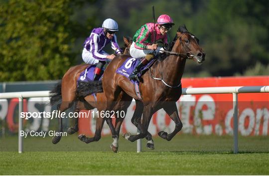 British Irish Chamber of Commerce Raceday