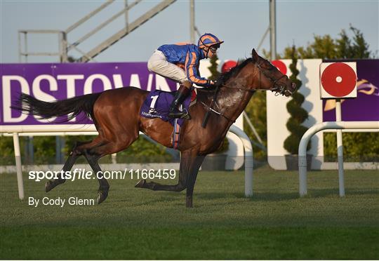 British Irish Chamber of Commerce Raceday