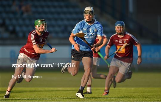 Westmeath v Dublin - Bord Gáis Energy Leinster GAA Hurling U21 Championship Semi-Final