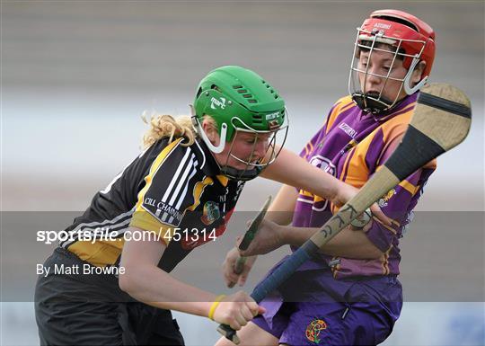 Kilkenny v Wexford - Gala All-Ireland Senior Camogie Championship Semi-Final Kilkenny v Wexford - Gala All-Ireland Senior Camogie Championship Semi-Final