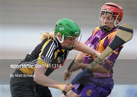 Kilkenny v Wexford - Gala All-Ireland Senior Camogie Championship Semi-Final