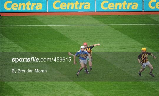 Kilkenny v Tipperary - GAA Hurling All-Ireland Senior Championship Final