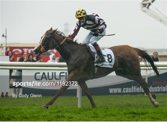 Galway Racing Festival - Day 2