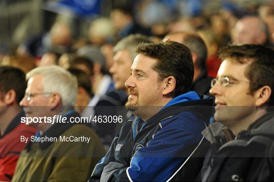 Supporters at the Leinster v Munster Celtic League game