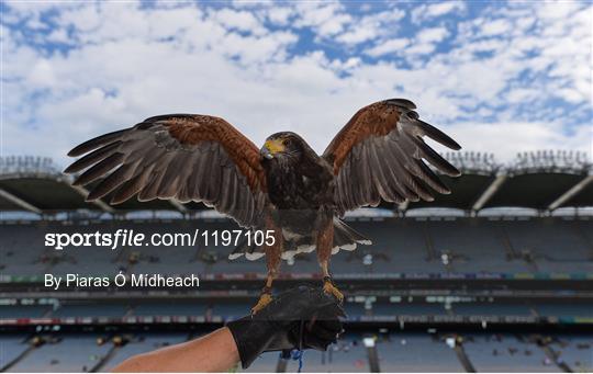 Mayo v Tyrone - GAA Football All-Ireland Senior Championship - Quarter-Final Mayo v Tyrone - GAA Football All-Ireland Senior Championship - Quarter-Final