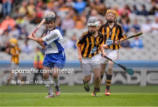 INTO Cumann na mBunscol GAA Respect Exhibition Go Games at Kilkenny v Waterford - GAA Hurling All-Ireland Senior Championship Semi-Final