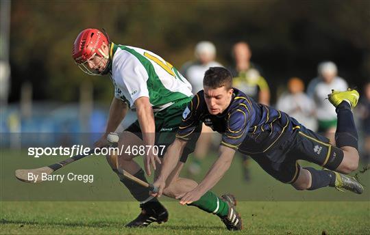 Ireland v Scotland - U21 Shinty - Hurling International Final Ireland v Scotland - U21 Shinty - Hurling International Final