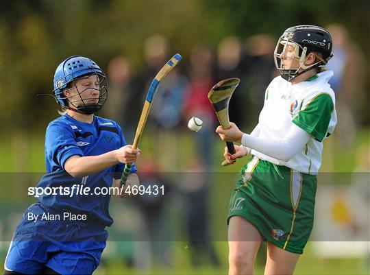 Ireland v Scotland - U21 Shinty - Hurling International Final Ireland v Scotland - U21 Shinty - Hurling International Final
