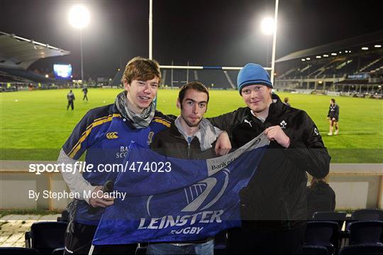 Leinster Supporters - Leinster v Dragons - Celtic League