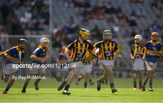 INTO Cumann na mBunscol GAA Respect Exhibition Go Games at Kilkenny v Tipperary - GAA Hurling All-Ireland Senior Championship Final