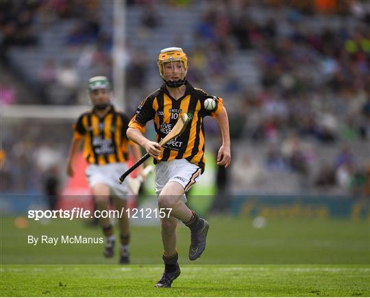 INTO Cumann na mBunscol GAA Respect Exhibition Go Games at Kilkenny v Tipperary - GAA Hurling All-Ireland Senior Championship Final