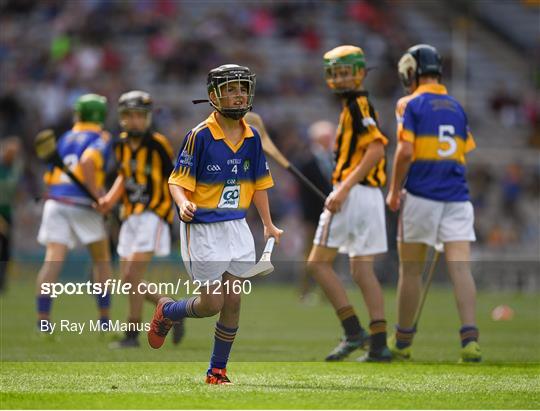 INTO Cumann na mBunscol GAA Respect Exhibition Go Games at Kilkenny v Tipperary - GAA Hurling All-Ireland Senior Championship Final